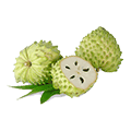 Fresh Fruit